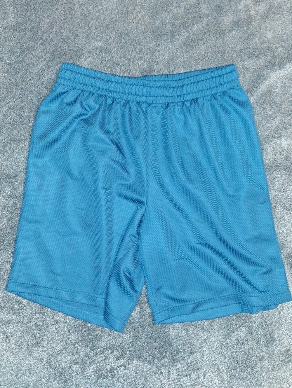 Pro Player Men's Blue Athletic Mesh Shorts